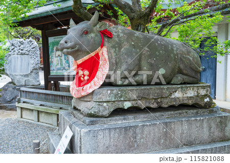 京都市　北野天満宮の石の臥牛像 115821088
