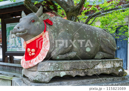 京都市　北野天満宮の石の臥牛像 115821089