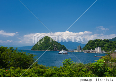 淡島の見える風景　西伊豆のオーシャンビュー 115821513