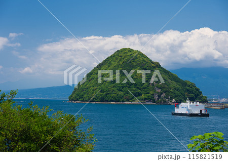 淡島の見える風景　西伊豆のオーシャンビュー 115821519