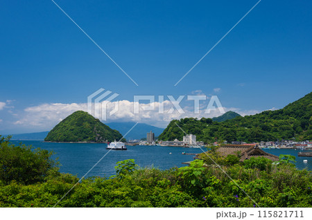 淡島の見える風景 西伊豆の絶景 淡島の見える風景 西伊豆の絶景 115821711