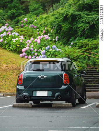 紫陽花と輸入車 紫陽花と輸入車 115822328