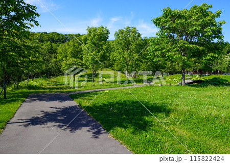 忠別ダムの散策広場 115822424