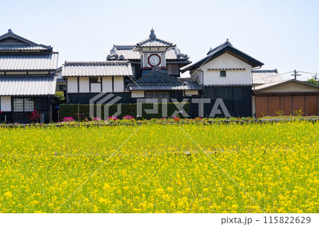 菜の花畑と野良時計3 高知県安芸市 菜の花畑と野良時計3 高知県安芸市 115822629