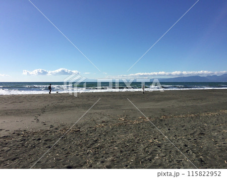 湘南の海と砂浜　犬の散歩 115822952