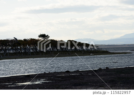 秋の野付半島風景 115822957
