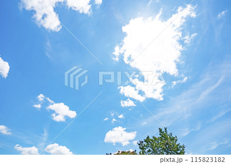 初夏の雲と木立 初夏の雲と木立 115823182
