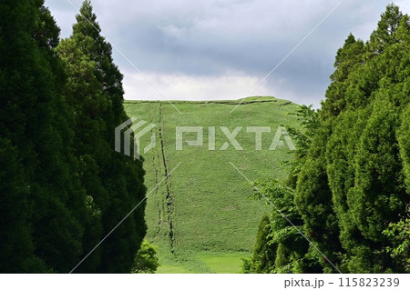 【熊本】阿蘇山の麓に広がる草原や山々。阿蘇山や米塚などを望む、広大な景色がとても綺麗で絶景でした。 【熊本】阿蘇山の麓に広がる草原や山々。阿蘇山や米塚などを望む、広大な景色がとても綺麗で絶景でした。 115823239
