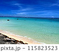 快晴の沖縄海岸 115823523