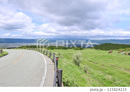 【熊本】阿蘇山の麓に広がる雄大な景色。目的地までのドライブ中も絶景で、何度もシャッターを切りました。 【熊本】阿蘇山の麓に広がる雄大な景色。目的地までのドライブ中も絶景で、何度もシャッターを切りました。 115824215