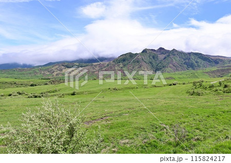 【熊本】阿蘇山の麓に広がる雄大な景色。目的地までのドライブ中も絶景で、何度もシャッターを切りました。 115824217
