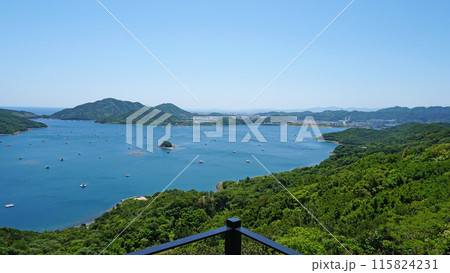 鳴門スカイラインから見るウチノ海の風景（徳島県鳴門市） 115824231