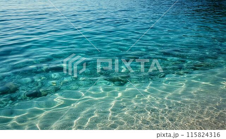 透き通る海の水辺 115824316