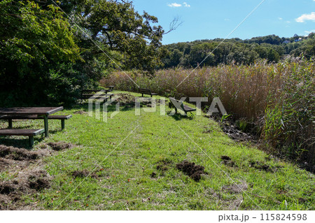 静岡県 伊東市 一碧湖 (沼池) 静岡県 伊東市 一碧湖 (沼池) 115824598
