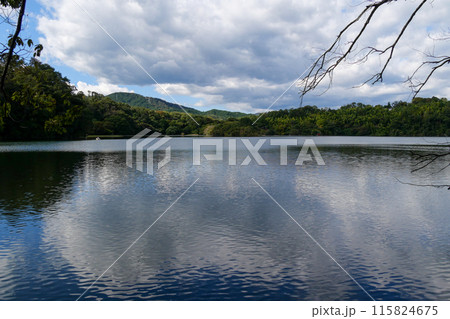 静岡県 伊東市 一碧湖 (大池) 静岡県 伊東市 一碧湖 (大池) 115824675