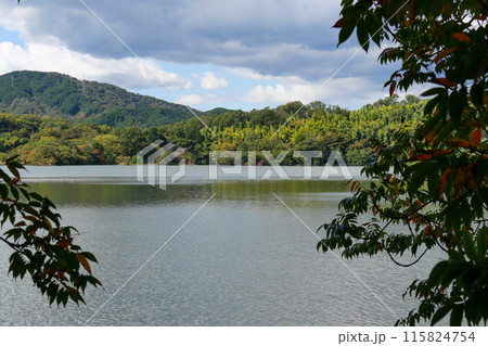 静岡県 伊東市 一碧湖 (大池) 静岡県 伊東市 一碧湖 (大池) 115824754
