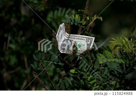 Photographer's find 115824988