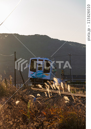 静岡県袋井市川会　天竜浜名湖鉄道と沿線の風景 115826010