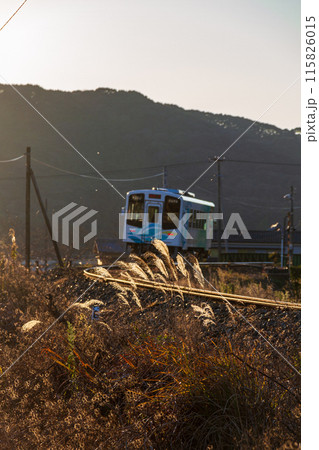 静岡県袋井市川会　天竜浜名湖鉄道と沿線の風景 115826015