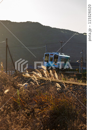 静岡県袋井市川会　天竜浜名湖鉄道と沿線の風景 115826020