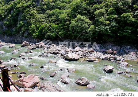 福知山線廃線敷沿いを流れる武庫川 福知山線廃線敷沿いを流れる武庫川 115826735