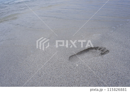 砂浜の足跡 砂浜の足跡 115826881