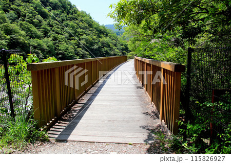 福知山線廃線敷沿いを流れる武庫川を渡る鉄橋跡 115826927