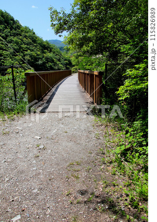 福知山線廃線敷沿いを流れる武庫川を渡る鉄橋跡 115826989