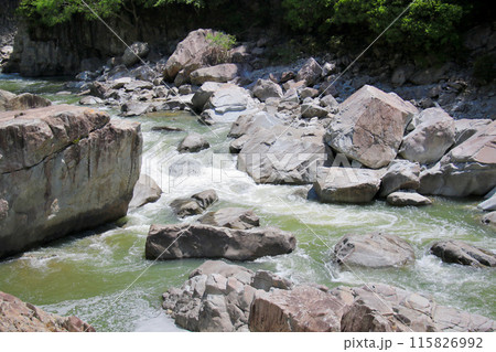 福知山線廃線敷沿いを流れる武庫川 115826992