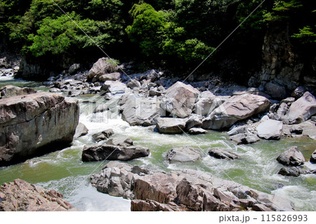 福知山線廃線敷沿いを流れる武庫川 福知山線廃線敷沿いを流れる武庫川 115826993