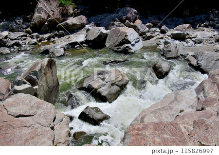 福知山線廃線敷沿いを流れる武庫川 福知山線廃線敷沿いを流れる武庫川 115826997