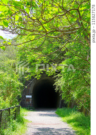 福知山線廃線敷のトンネル 福知山線廃線敷のトンネル 115827178