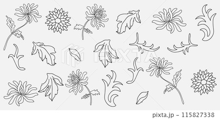 Hand drawn floral elements such as flowers, leaves, and branches are ideal for creative projects and artistic endeavors 115827338