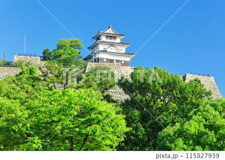 【香川県】北側内堀から見た五月晴れの丸亀城（現存天守と石垣の名城） 115827939