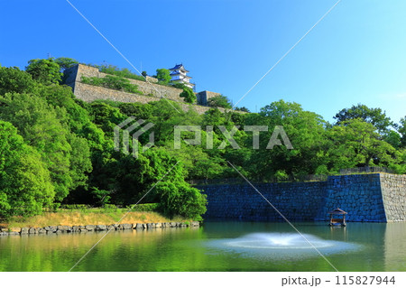 【香川県】北側内堀から見た五月晴れの丸亀城（現存天守と石垣の名城） 115827944