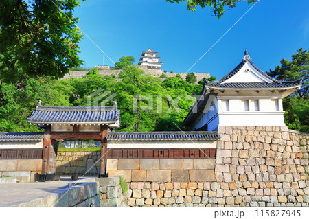 【香川県】北側内堀から見た五月晴れの丸亀城（現存天守と石垣の名城） 115827945