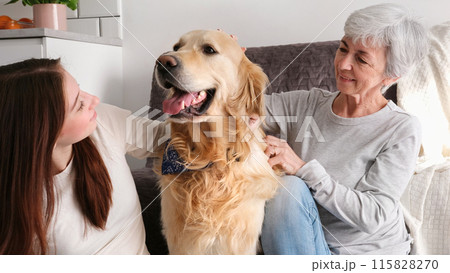 Old Woman And Her Granddaughter Having Fun With A Cute Golden Retriever Dog Old Woman And Her Granddaughter Having Fun With A Cute Golden Retriever Dog 115828270