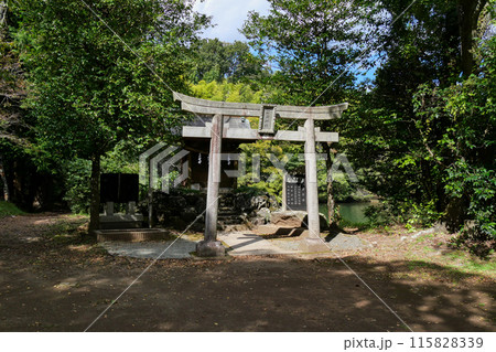 静岡県 伊東市 一碧湖(大池) 一碧湖神社 静岡県 伊東市 一碧湖(大池) 一碧湖神社 115828339