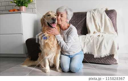 Cheerful Elderly Lady Petting Her Cute Golden Retriever Dog Inside Cheerful Elderly Lady Petting Her Cute Golden Retriever Dog Inside 115828367