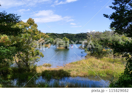 静岡県 伊東市 一碧湖と赤い鳥居 静岡県 伊東市 一碧湖と赤い鳥居 115829082