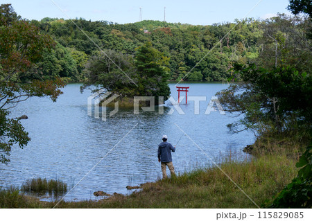静岡県 伊東市 一碧湖と赤い鳥居 静岡県 伊東市 一碧湖と赤い鳥居 115829085