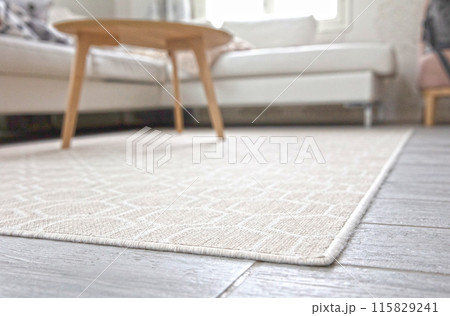 Simple old carpet in a living room Simple old carpet in a living room 115829241
