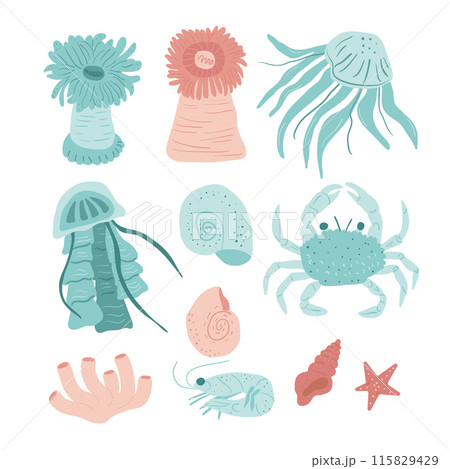 Colorful, simplified marine life illustrations including sea anemones, jellyfish, mollusks, crabs, coral, shrimp, and starfish. Vector hand drawn flat set illustration. Colorful, simplified marine life illustrations including sea anemones, jellyfish, mollusks, crabs, coral, shrimp, and starfish. Vector hand drawn flat set illustration. 115829429