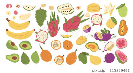 Tropical fruits isolated on white background. Set of exotic sweet dessert Vector hand drawn flat collection illustration. Tropical fruits isolated on white background. Set of exotic sweet dessert Vector hand drawn flat collection illustration. 115829491
