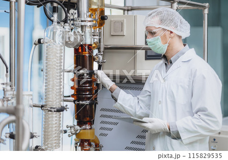Scientist working with Equipment in Science Lab. Medical factory staff Cannabis CBD oil extraction. Hemp oil Thin Film Distillation Plants Process. Scientist working with Equipment in Science Lab. Medical factory staff Cannabis CBD oil extraction. Hemp oil Thin Film Distillation Plants Process. 115829535