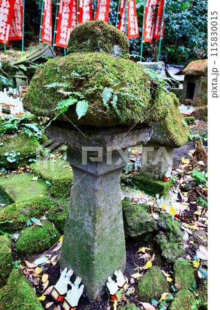 源頼朝が創建した鎌倉のお稲荷さん… 佐助稲荷神社 115830015