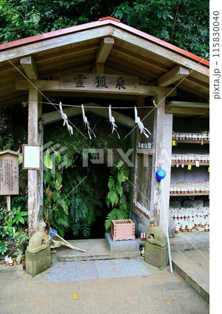 源頼朝が創建した鎌倉のお稲荷さん… 佐助稲荷神社 115830040