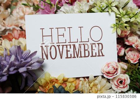 Hello November text message on paper card with beautiful flowers decoration 115830386