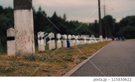 White concrete pillars along the road in the forest 115830622