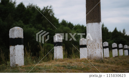 Concrete posts along the road next to the forest 115830623